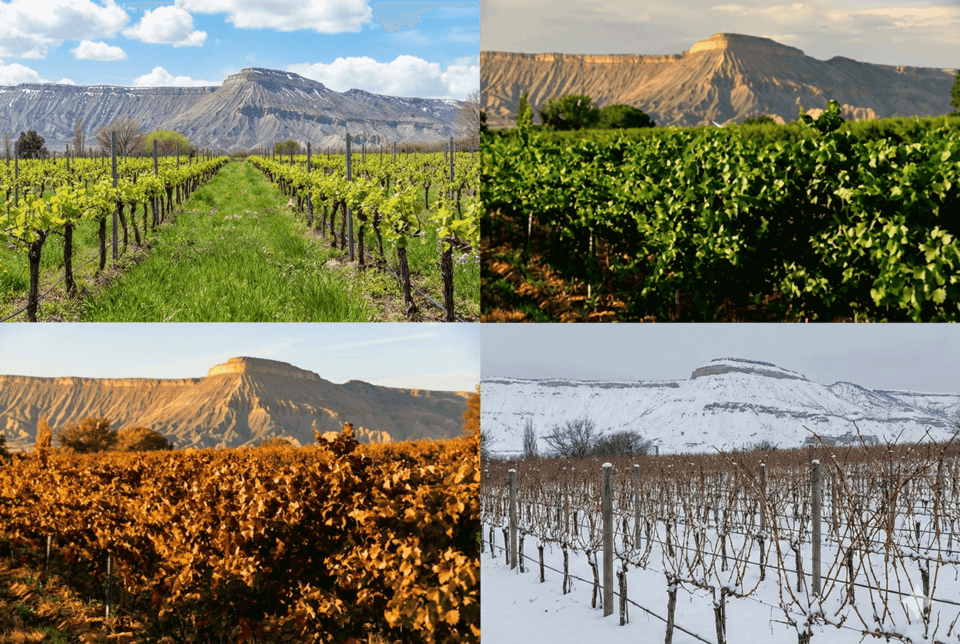 Four seasons of e-biking in Palisade